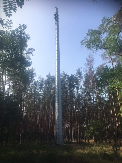 Sendemast im Wald (Wollin)